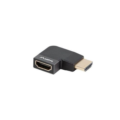 Lanberg Ad-hdmi-10 Câble Vidéo Et Adaptateur Hdmi Type A (standard) N