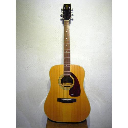 Guitare Acoustique Takeharu Wt150