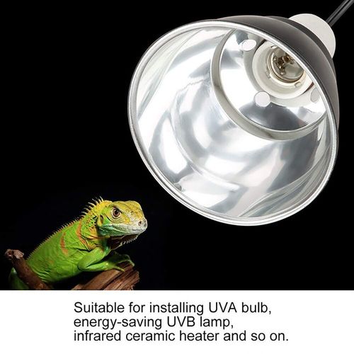Lampe De Reptile En Dôme De Haute Qualité, Couverture De Réflexion Optique Pour Terrariums En Verre