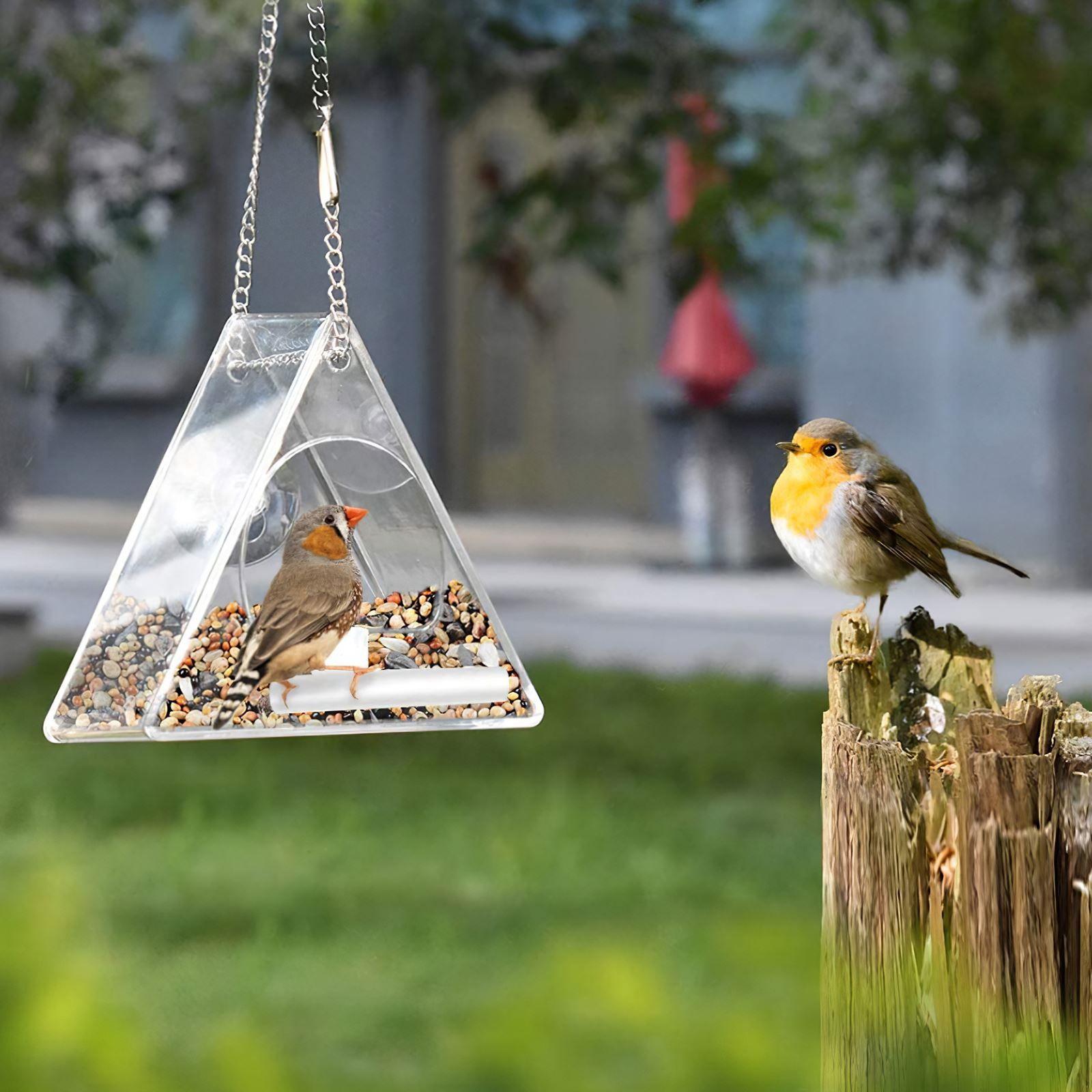 Mangeoire à oiseaux de fenêtre en acrylique transparent avec ventouses,  grande capacité pour les oiseaux sauvages d'extérieur