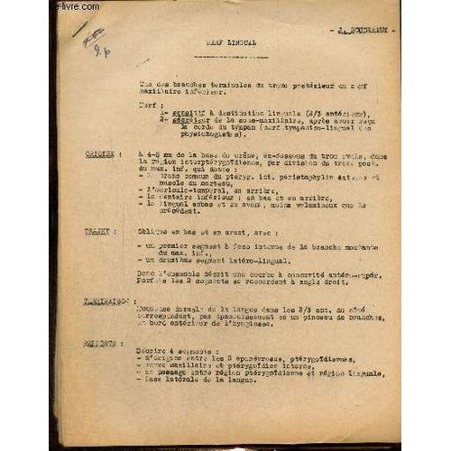 Lot De Cours De Médecine Au Nom De Boudreaux : Péricarde / Artère Hépatique / Arrière-Cavité Des Épiploons / Nerf Lingual / Artère Mésentérique Supérieure