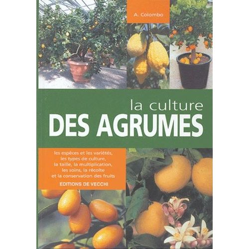 La Culture Des Agrumes