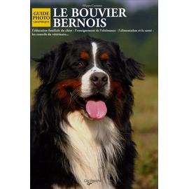 Bouviers Bernois : caractère, santé, éducation… - Boutique chien