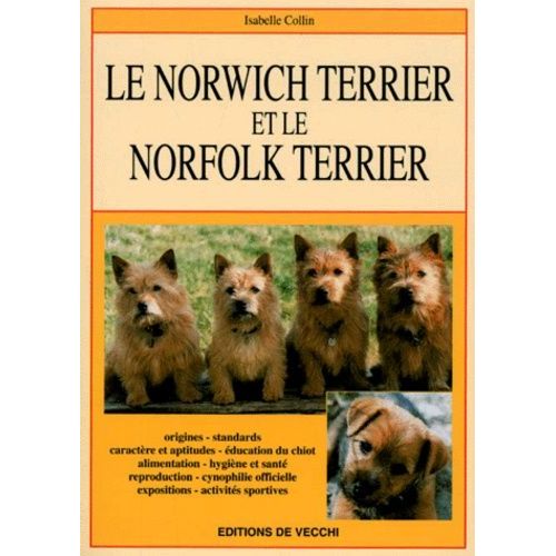 Le Norwich Terrier Et Le Norfolk Terrier
