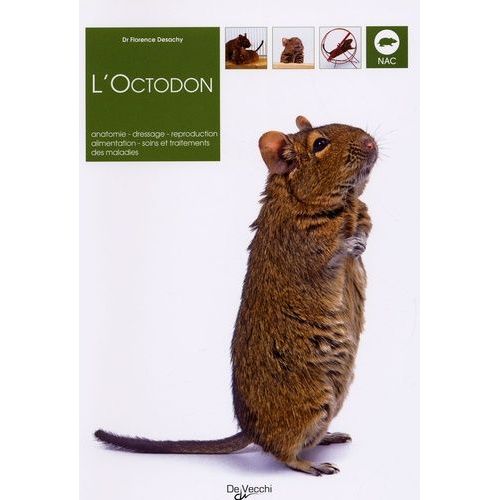 L'octodon - Anatomie, Dressage, Reproduction, Alimentation, Soins Et Traitements Des Maladies