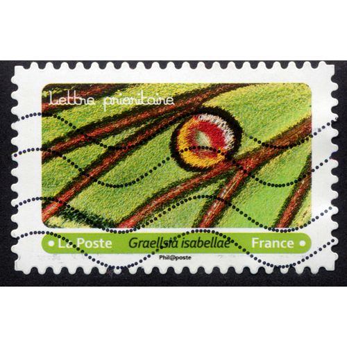 Timbre Graellsia Isabellae.Lettre Prioritaire.La Poste.France.2020.
