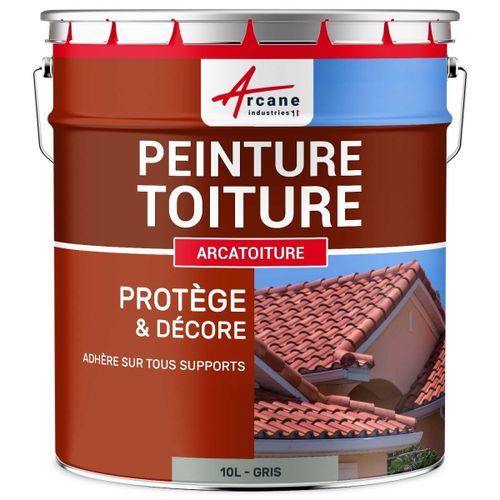 Peinture toiture tuile ciment terre cuite Gris - RAL 7040 10 L