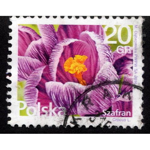 Timbre Polska.20 Gr.Szafran.Crocus L.2016.