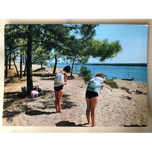Île De Ré Le Bois De Trousse Chemise
