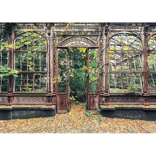 Puzzles Fenêtres Cintrées Envahies Par La Végétation, 1000 Pcs