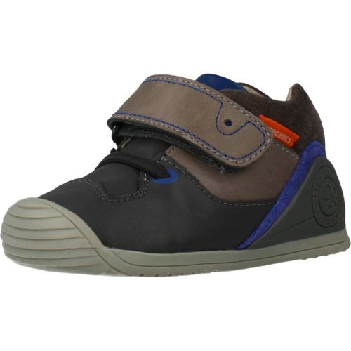 Biomecanics56 Colour Gris