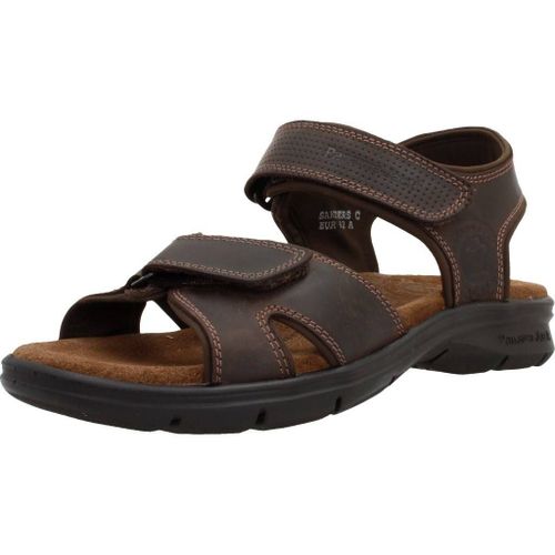 Sanders Basics C1 - 46