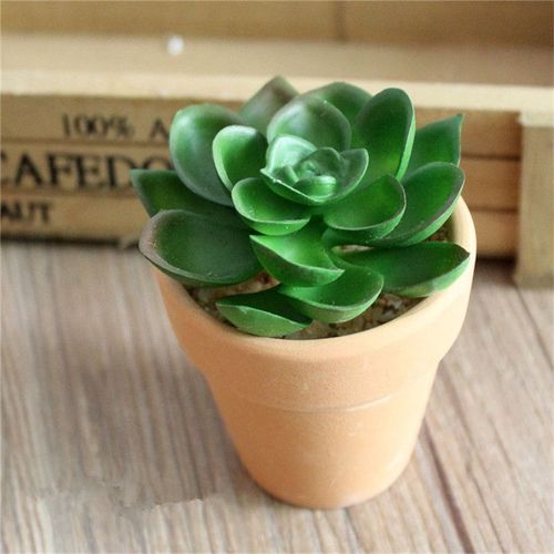 Mini Plantes Succulentes Artificielles, Bonsaï, Plante de Canni Verte, Pot de Fleurs en Céramique Rouge, Décoration de Maison, Mariage, ixde Noël