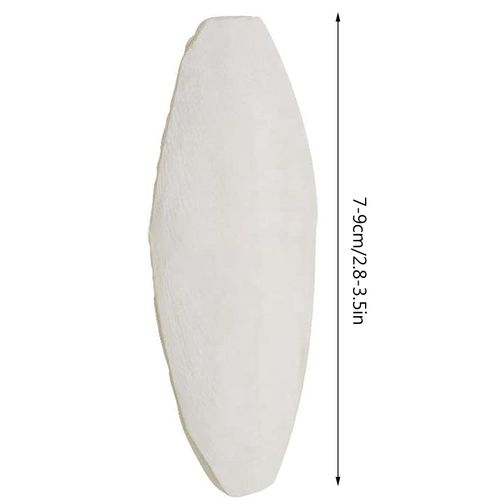 Seiche Sophia Pour Oiseaux, Seiche Naturelle Pour Oiseaux Et Reptiles, Fournitures De Santé, Os De Seiche En Vrac Avec Support, 10 Pièces