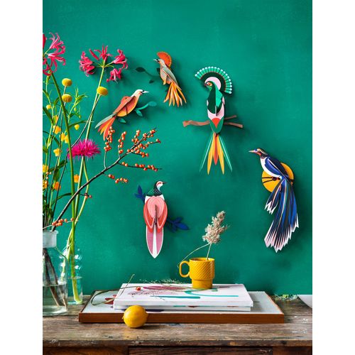 Décoration Murale Oiseau Du Paradis Flores (Puzzle 3d - 6 Pièces) Support Carton Animaux Volatile Diy
