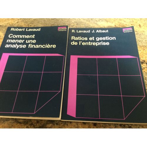 Comment Mener Une Analyse Financière. Ratios Et Gestion De LEntreprise