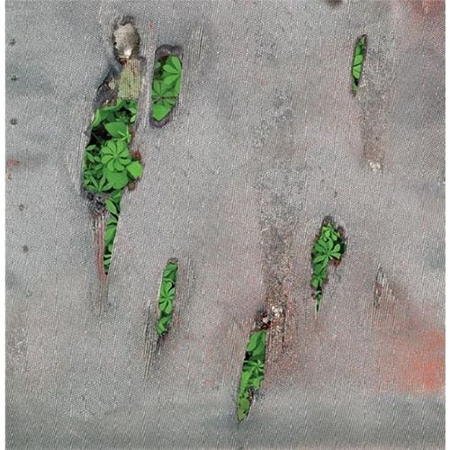 Agor - Cd Album