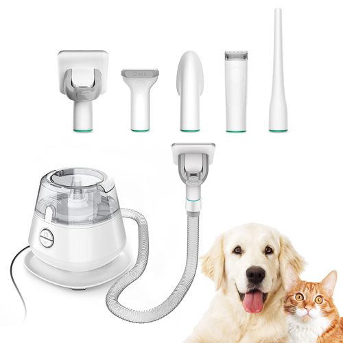 Inse P20s Aspirateur De Toilettage Pour Animaux De Compagnie-Set De Toilettage Pour Animaux De Compagnie-25w-30db-0,25l
