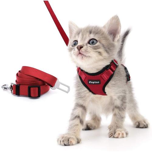 Harnais de sécurité pour chat, gilet anti fuite et adaptateur de ceinture  de sécurité de voiture, harnais en maille souple et réfléchissant réglable  pour chaton et chiot - 21MXQT0506A04552