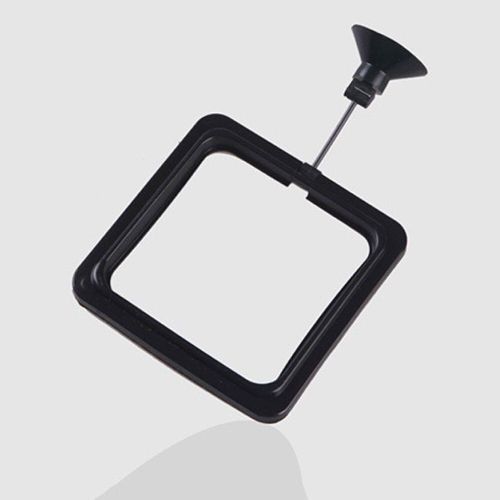 Anneau D'alimentation Pour Poissons D'aquarium, Carré Rond, Station D'alimentation Flottante Pour Aliments Et Eau, Plante Flottante, Cercle