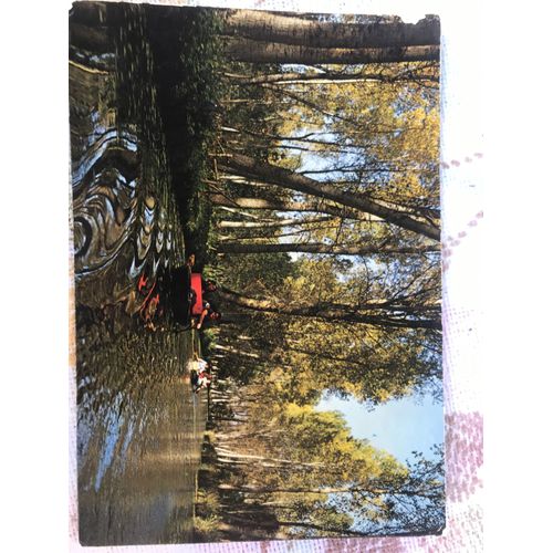 Les Deux Sevres, Promenade Dans La Venise Verte