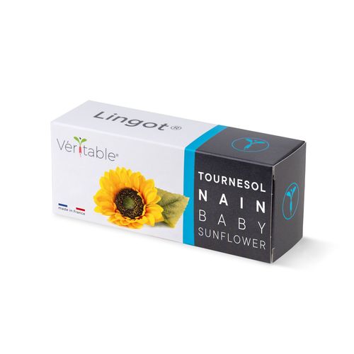 Lingot Tournesol Nain - Recharge Prête À L'emploi