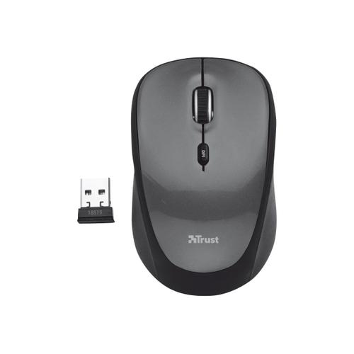 trust wireless mouse