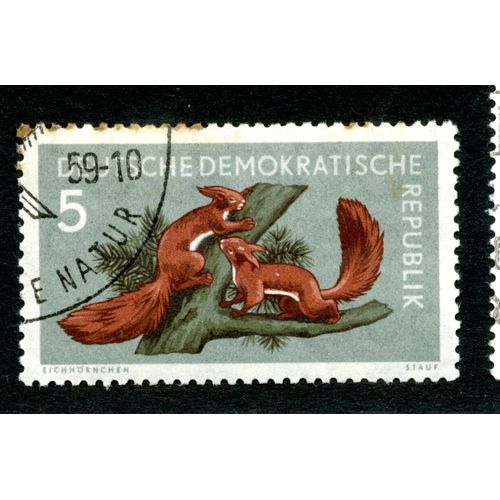 Timbre Oblitéré Deutsche Demokratische Republik, Eihhörnchen, Stauf, 5
