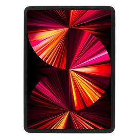 Apple iPad Pro 11" Wi-Fi + Cellular 2021 128Go gris sidéral