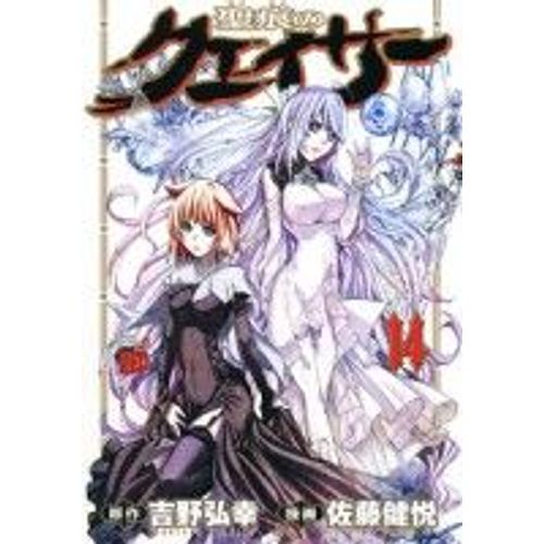 Seikon No Qwaser Jp Vol.14