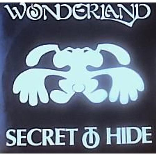 Secret To Hide (Punk / Hardcore)