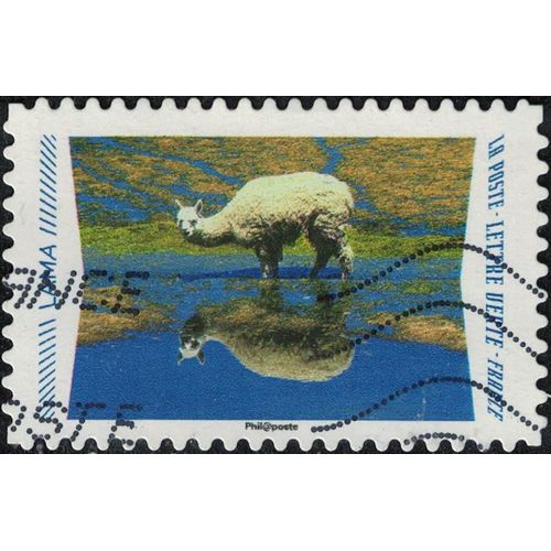 France 2020 Oblitéré Used Animaux Du Monde Reflets Lama Y&t 1822 Su
