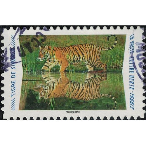 France 2020 Oblitéré Rond Used Animaux Du Monde Reflets Tigre De Sibérie Y&t 1816 Su