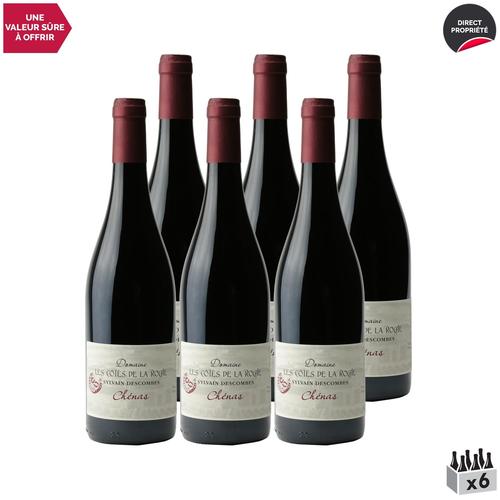 Domaine Les Côtes De La Roche Chénas Rouge 2020 X6