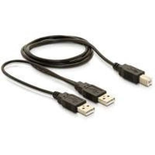 Delock - Câble USB - USB type B (M) pour USB (M) - USB 2.0 - 1 m