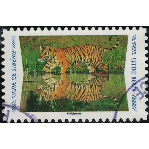 France 2020 Oblitéré Used Animaux Du Monde Reflets Tigre De Sibérie Y&t 1816 Su
