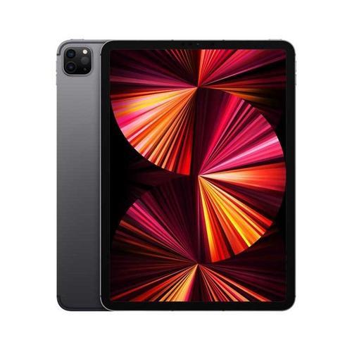Apple iPad Pro 11" Wi-Fi + Cellular 2021 2To gris sidéral