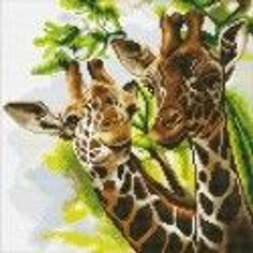 Tableau Broderie Diamant Crystal Art 30x30cm Girafes - Crystal Art