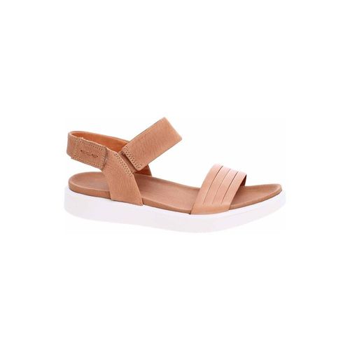 Sandales Ecco Lion Cashmere - 37