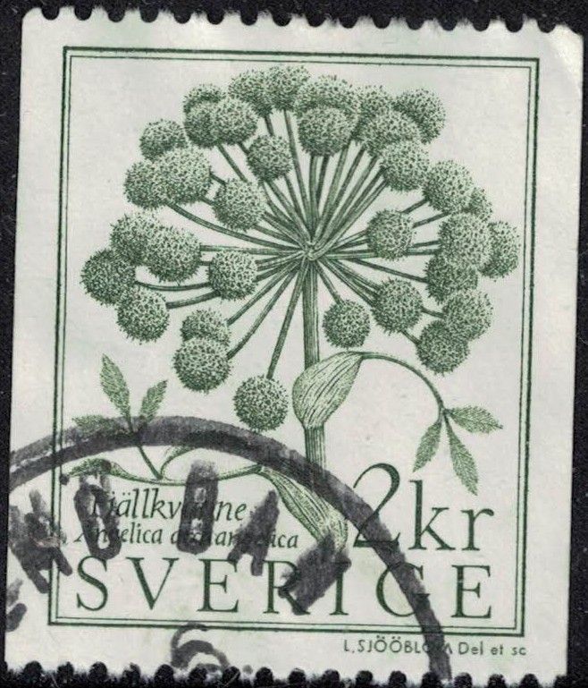 Suède 1984 Oblitéré Used Plante Angelica Archangelica Angélique Officinale Su