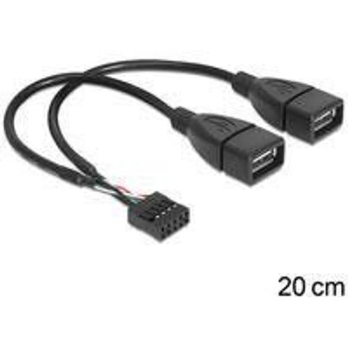 Delock Usb-kabel Intern Auf Extern - Usb Bis 9-poliger Usb-header - 2
