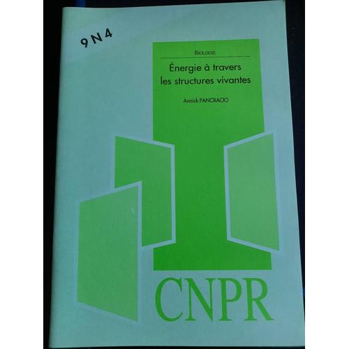 Cnpr 9n4 Energie À Travers Les Structures Vivantes