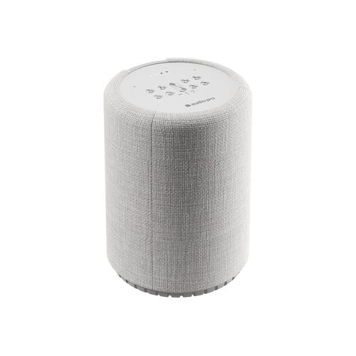 Audio Pro G10 - Enceinte sans fil Bluetooth - Gris