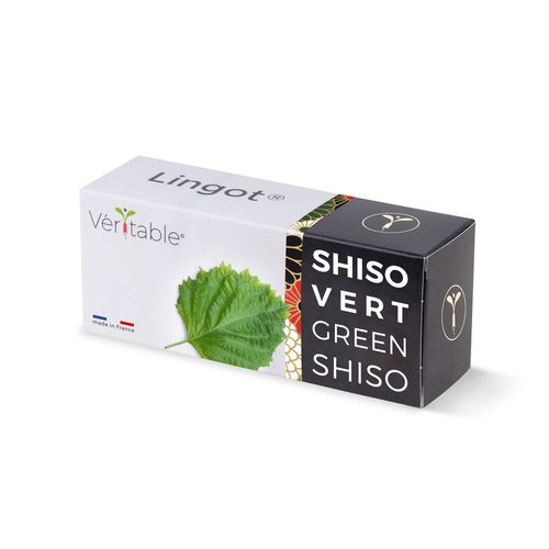 Lingot Shiso Vert Pour Potager Véritable