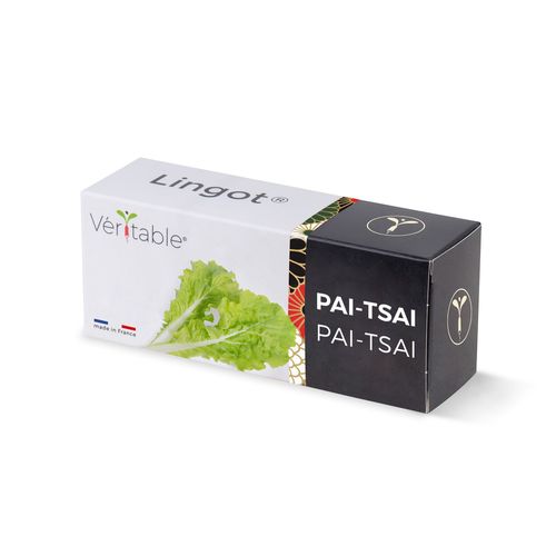 Lingot Pai Tsai Pour Potager Véritable