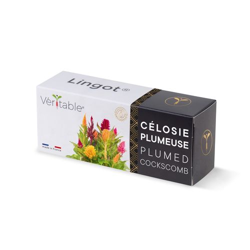 Lingot Célosie Plumeuse - Recharge Prête À L'emploi