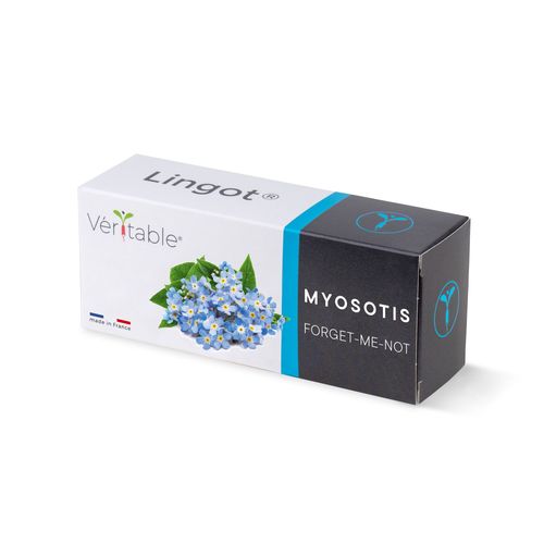 Lingot Myosotis - Recharge Prête À L'emploi
