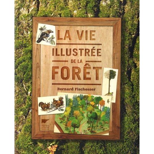 La Vie Illustrée De La Forêt