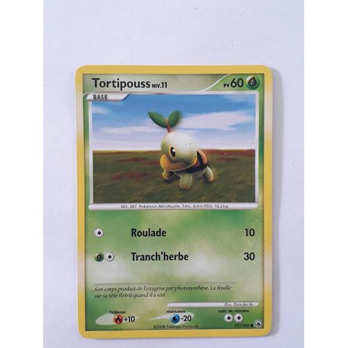 Carte Pokemon - Tortipouss - 77/100 - Diamant Et Perle - Aube Majestueuse - 2008 - M2