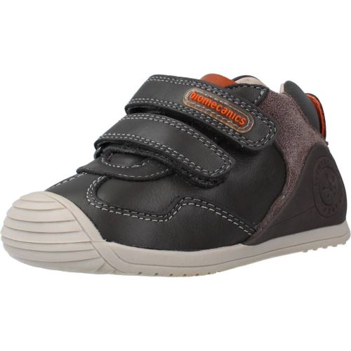 Biomecanics 211138 Colour Gris